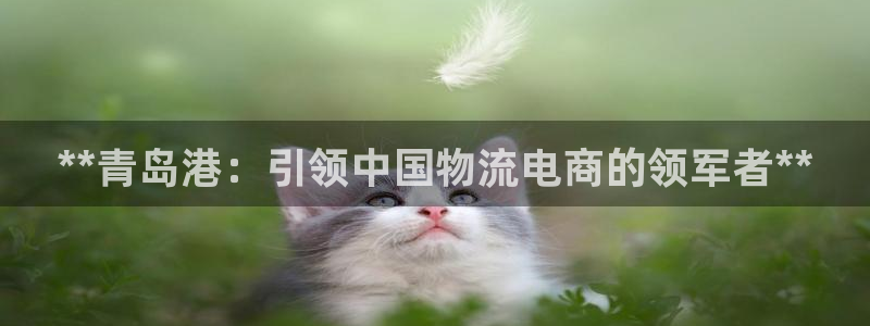 28圈.ccmpcios：**青岛港