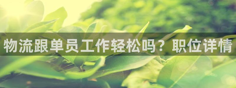 28圈注册网站：物流跟单员工作轻松吗