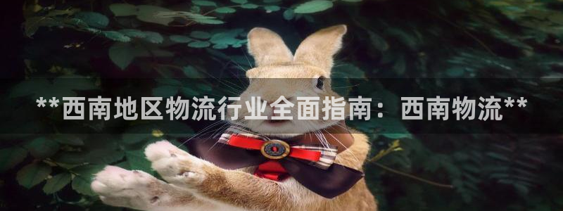 28圈p扣除：**西南地区物流行业全