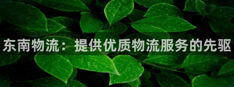 28圈连输10天：东南物流：提供优质