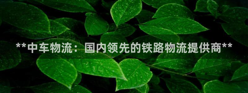 28圈注册链接入口：**中车物流：国