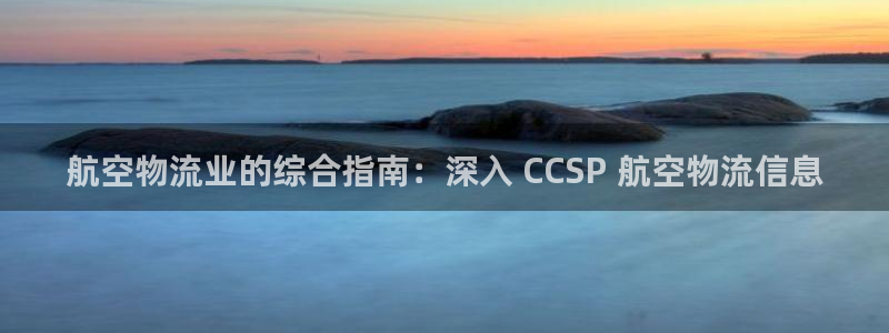 28圈电子：航空物流业的综合指南：深