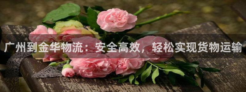 28圈免费