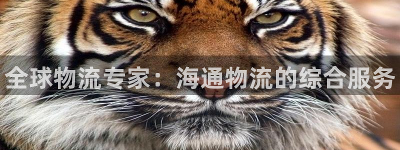 28圈充值：全球物流专家：海通物流的