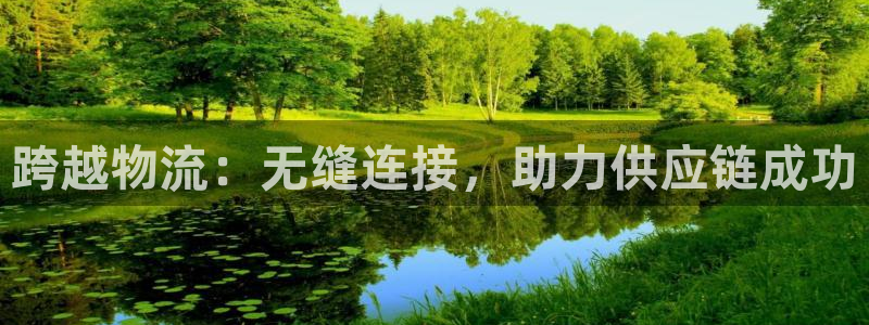 28圈连接：跨越物流：无缝连接，助力