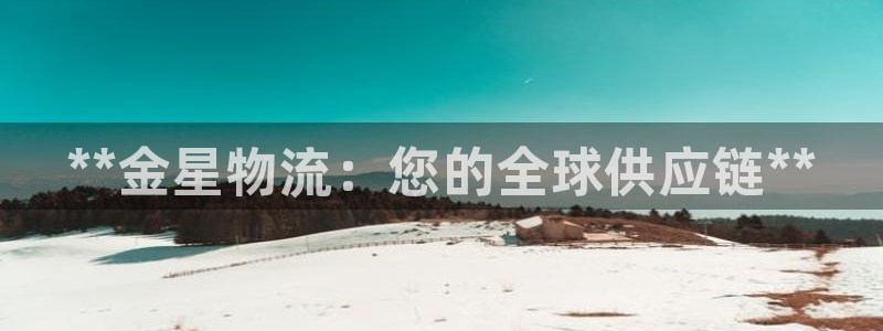 28圈反水什么时候到：**金星物流：