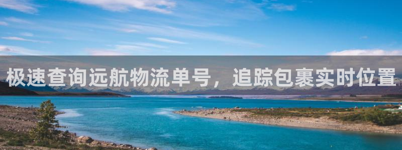 28圈.ccm正版：极速查询远航物流