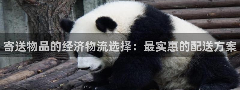 28圈软件是什么：寄送物品的经济物流