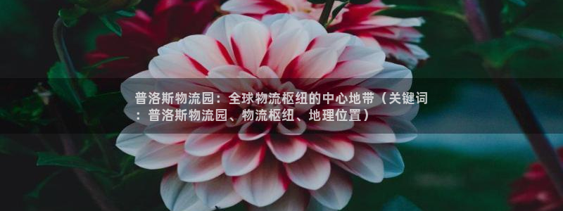 28圈黑平台吗：普洛斯物流园：全球物