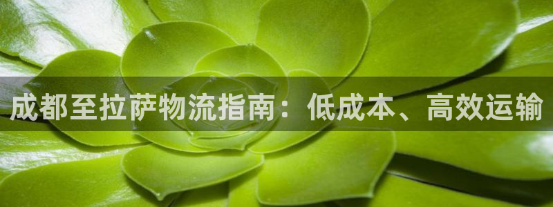 28圈app怎么注册账号：成都至拉萨