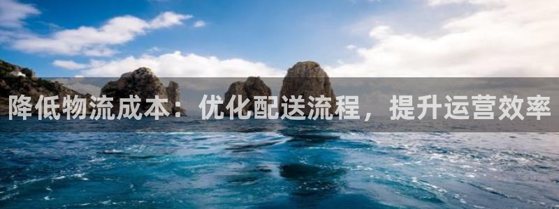 28圈黑平台吗：降低物流成本：优化配