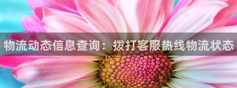 28圈是什么是赌博吗?