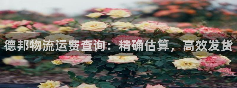 28圈是正规软件吗