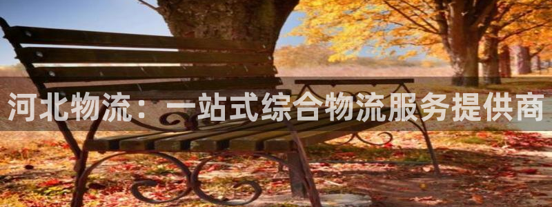 28圈相信品牌的力量：河北物流：一站
