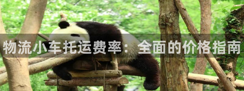 28圈pg麻将胡了：物流小车托运费率