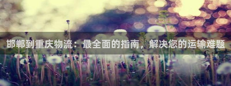 28圈注册网站多少钱一个：邯郸到重庆