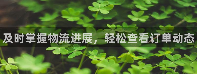 28圈系统自动保护：及时掌握物流进展