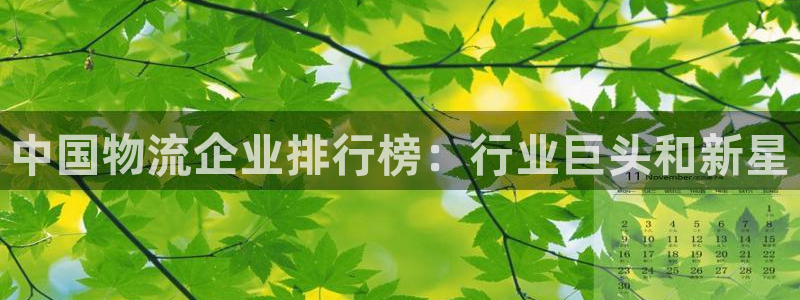 28圈p图上分下款通道