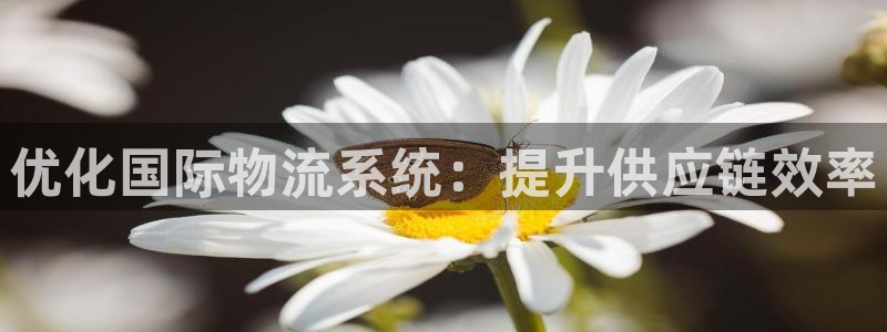 28圈预测：优化国际物流系统：提升供