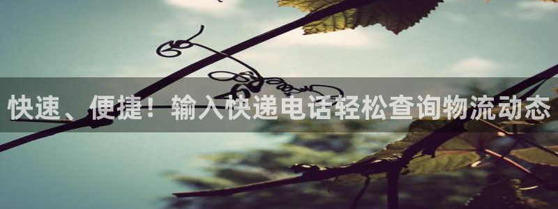 28圈注册链接教程：快速、便捷！输入