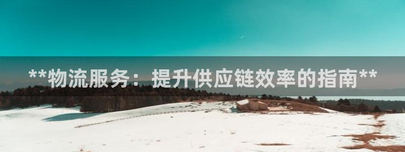 28圈能不能退：**物流服务：提升供