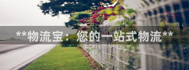 28圈是什么软件：**物流宝：您的一