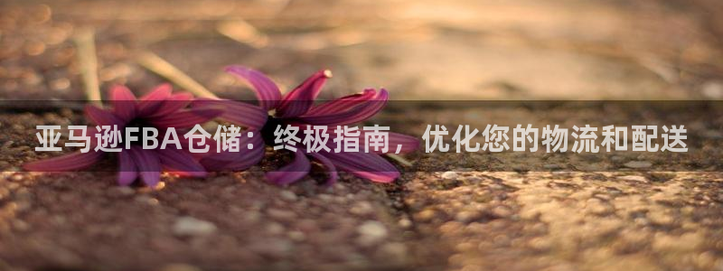 28圈玩法