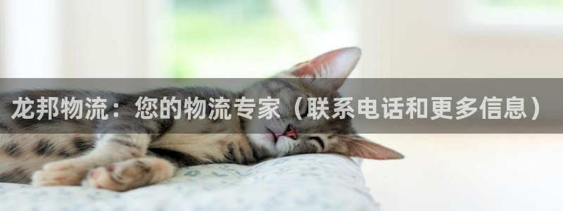 28圈下载二维码：龙邦物流：您的物流