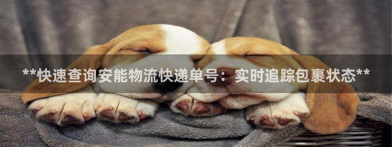 28圈黑钱：**快速查询安能物流快递