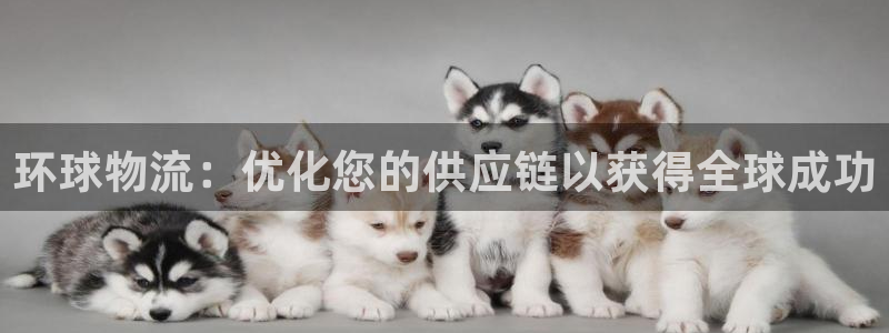 28圈黑平台吗：环球物流：优化您的供