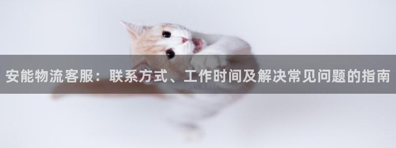 28圈注册平台：安能物流客服：联系方