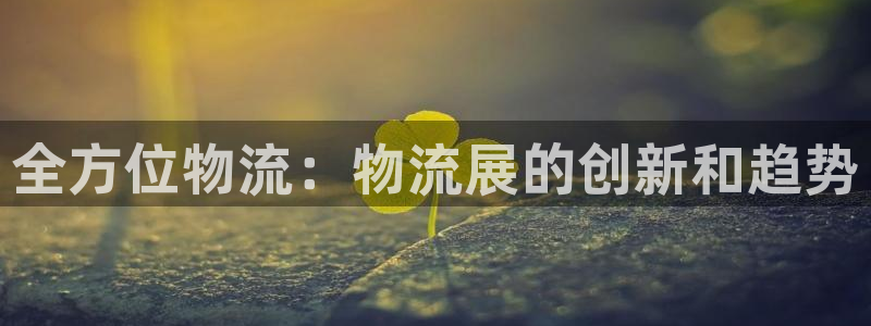 28圈比特28预测在线预测：全方位物
