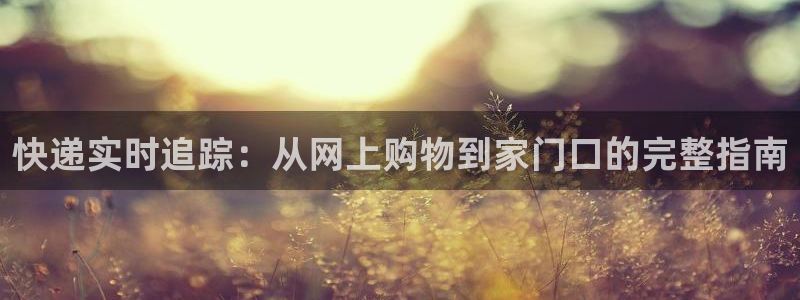28圈正规吗?：快递实时追踪：从网上