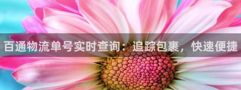 28圈注册网站链接：百通物流单号实时