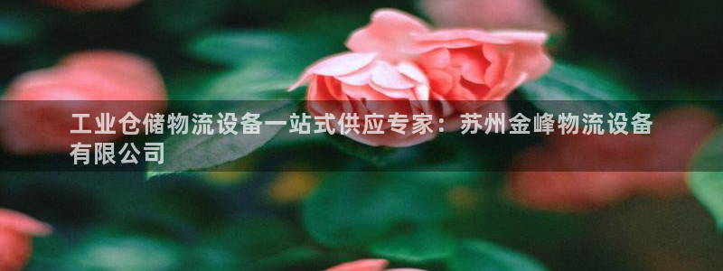 28圈怎么下载教程：工业仓储物流设备一站式供应专家：苏州金峰