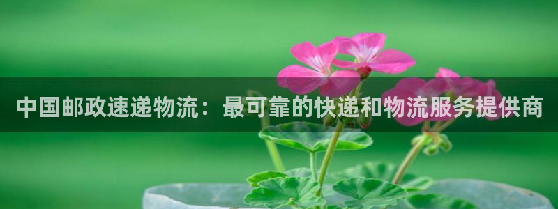 28圈注册与教程：中国邮政速递物流：