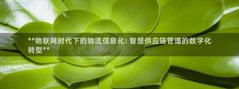 28圈官网预测：**物联网时代下的物流信息化: 智慧供应链管