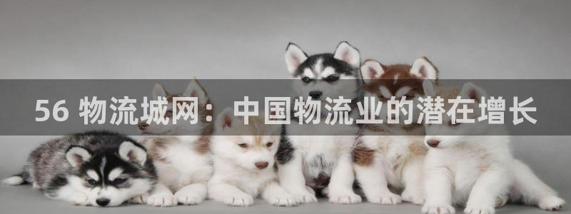 28圈入口问一问：56 物流城网：中