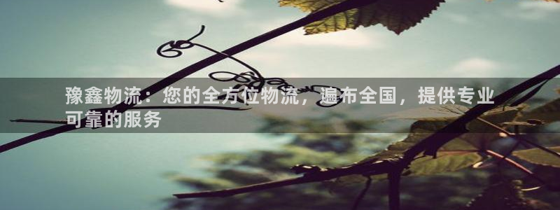 28圈平台注册：豫鑫物流：您的全方位