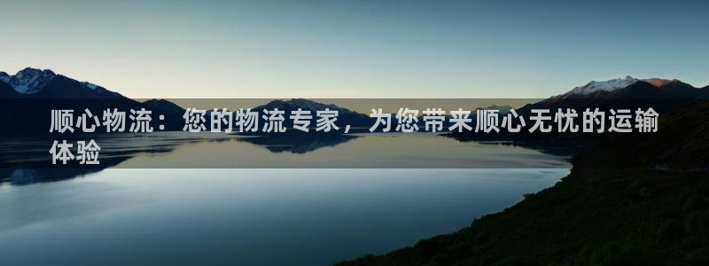 28圈游戏最新版：顺心物流：您的物流