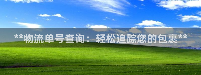 28圈官网预测：**物流单号查询：轻