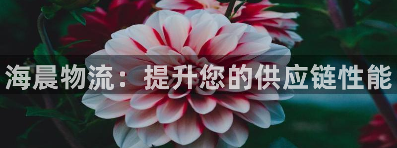 28圈赌博被抓：海晨物流：提升您的供