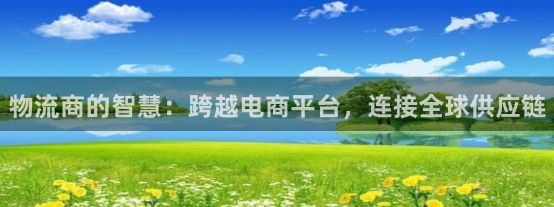 28圈加拿大走势