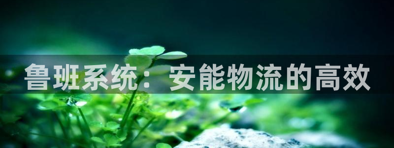 28圈官网平台下载