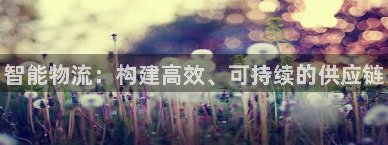 28圈吧：智能物流：构建高效、可持续