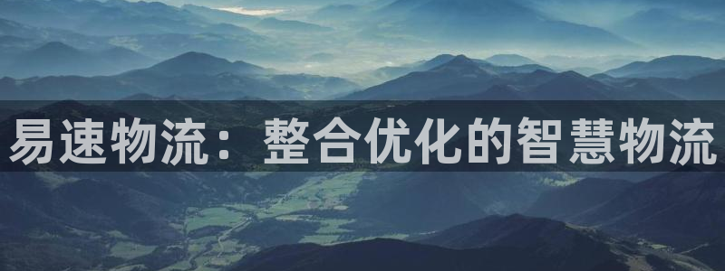 28圈圈助手：易速物流：整合优化的智慧物流
