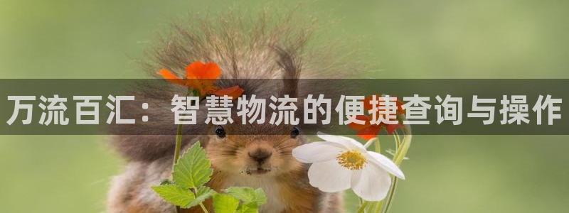 28圈分分压单双技巧:万流百汇:智慧