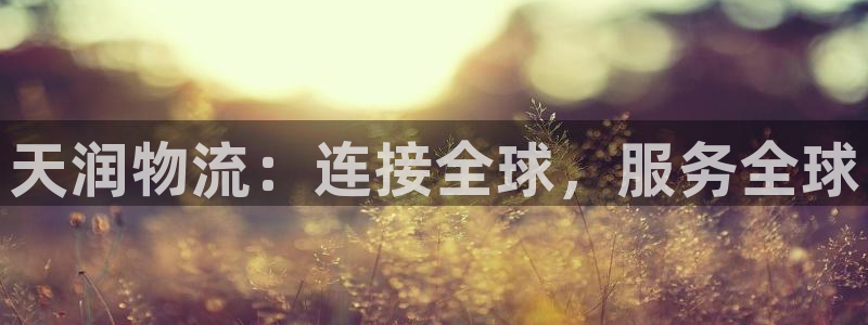 28圈PG电子游戏：天润物流：连接全