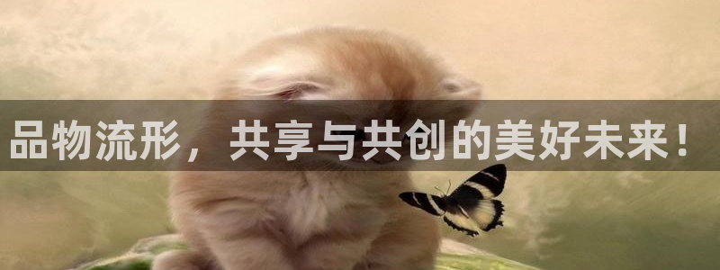 28圈加拿大pc预测:品物流形,共享