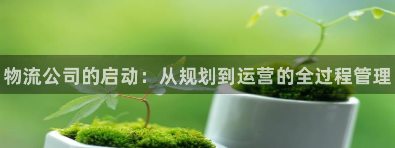 28圈充值不处理会怎么样：物流公司的